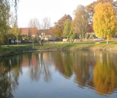 Rainer_60_04