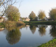 Rainer_60_07