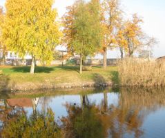 Rainer_60_06