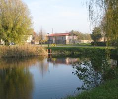 Rainer_60_05