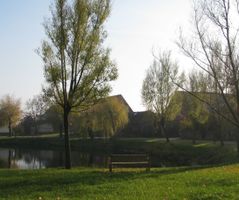 Rainer_60_08